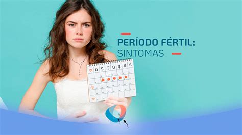 período fértil sintomas